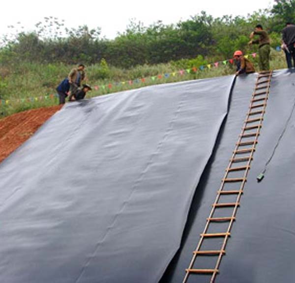 ���̰���